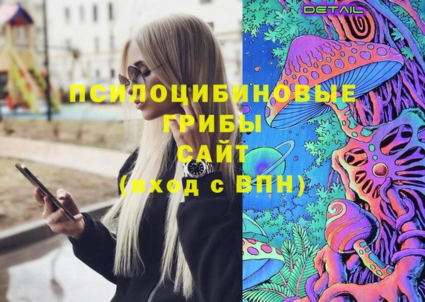 молекула духа Алексеевка