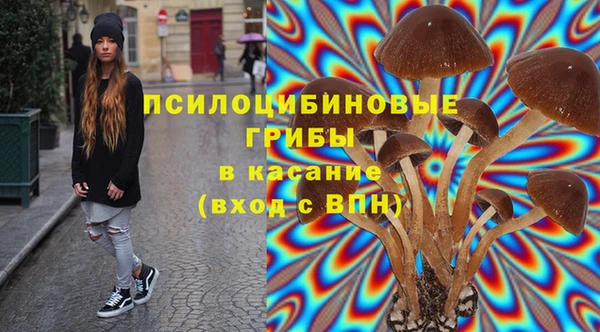 молекула духа Алексеевка