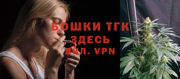 молекула духа Алексеевка